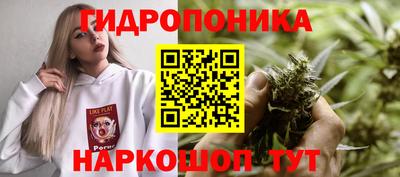 гашик Краснодар