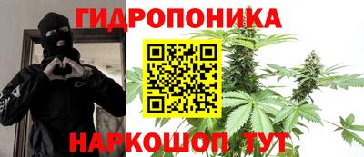 гашик Краснодар