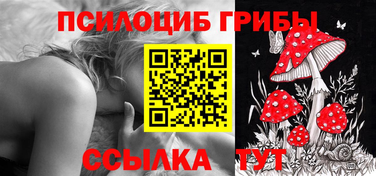Псилоцибиновые грибы Magic Shrooms  Вход с VPN  Южно-Сахалинск  Галлюциногенные грибы мухоморы 