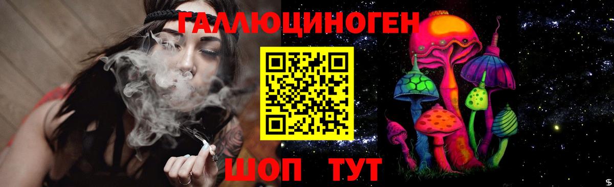 Псилоцибиновые грибы мицелий Южно-Сахалинск